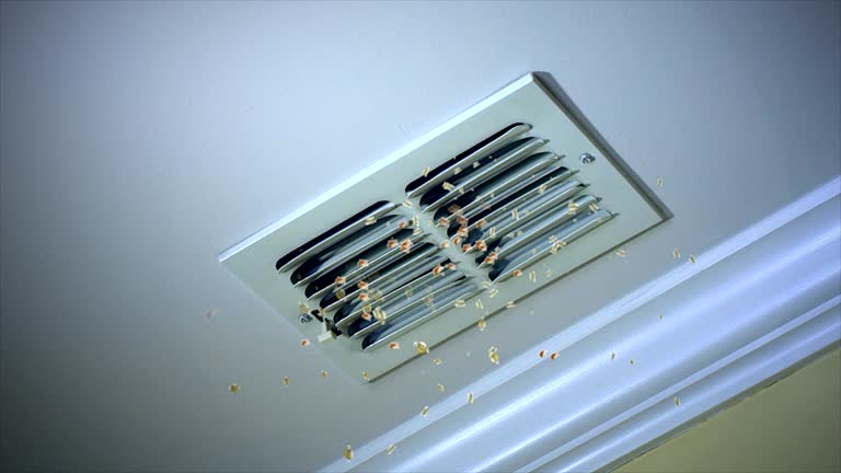 Best HVAC Air Duct Cleaning  in Soda Springs, ID
